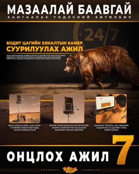 Мазаалай баавгайн амьдрах орчныг 24 цагаар хянах камер суурилуулав