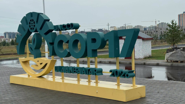 СОР17 бага хурлыг зохион байгуулах бэлтгэл ажлын явц 68 хувьтай үргэлжилж байна