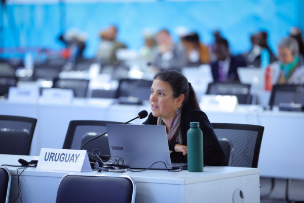 COP17: Талууд болон иргэний нийгмийн хооронд хийгддэг Нээлттэй яриа хэлэлцүүлгийн эхний хуралдаан боллоо