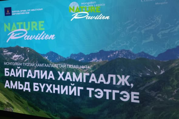 Ногоон бүсэд Байгаль павилионыг нээлээ