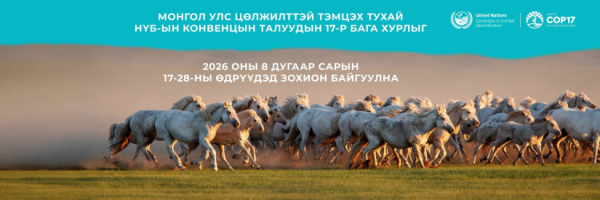 СОР17 хурлын стратегийн баримт бичиг “Тал хээрийн төлөвлөгөө”