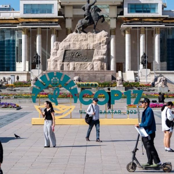 Монгол Улсын олон улсын манлайлал