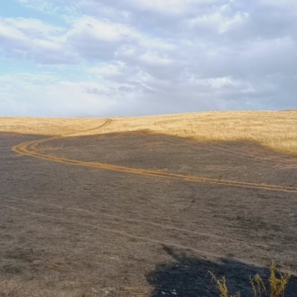 Сүхбаатар аймгийн Мөнххаан суманд гарсан хээрийн түймрийг бүрэн унтраалаа